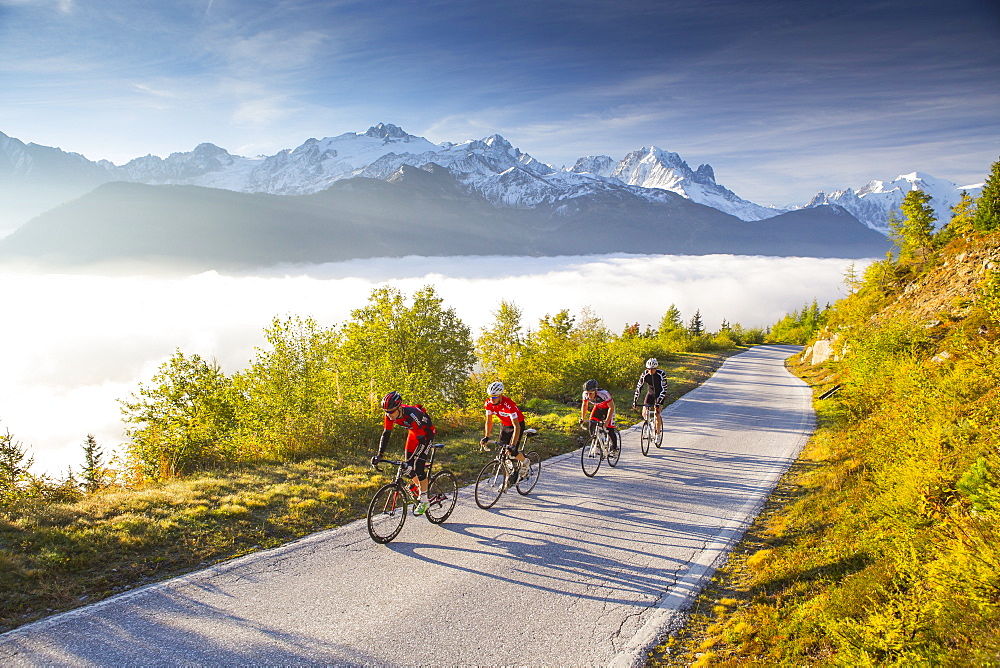 Four road bikers on a winding mountain road on their way to the Emosson reservoir lake in the Alps on the border of France and Switzerland. It is an early morning training session of the local cyclists. The sun is rising, clouds are in the valley, and in the background the mountain peaks of Chamonix are visible, including Mont Blanc, the highest mountain of the Alps. This climb will be stage 17 of the 2016 Tour de France on July 20th 2016. Depart is in Bern and the finish near the Emosson reservoir at 1960 meters height.