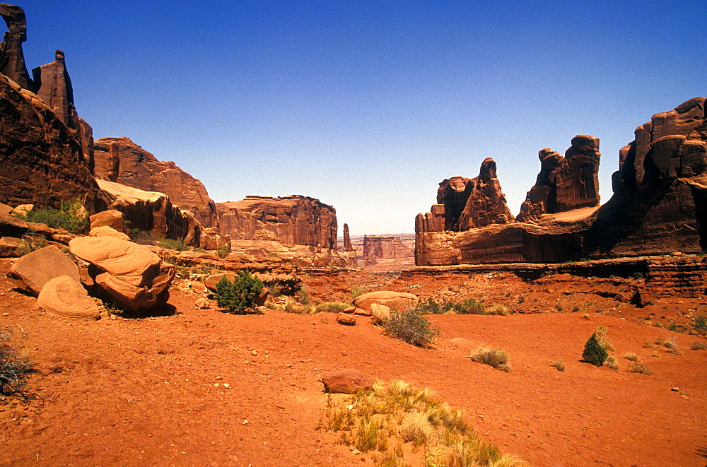 Needles section, Canyonlands National Park