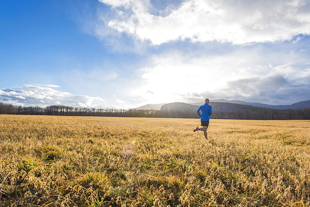 Runner in a blue shirt in a field with mountains in the background