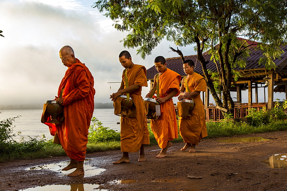 Buddhist Monks during Morning Alms Giving on Don Khong Island in Southern Laos