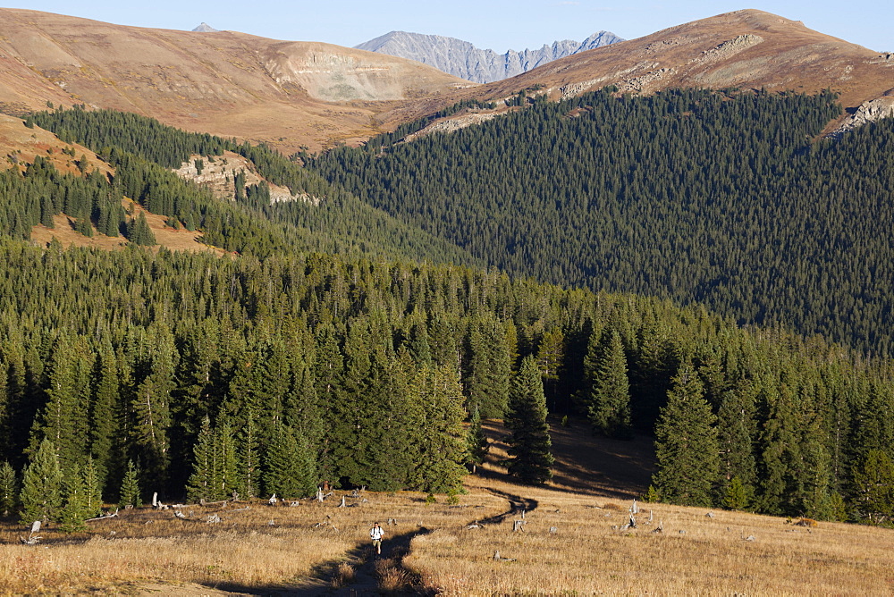 A man hikes up the trail to the Jackal Hut, White River National Forest, Colorado.