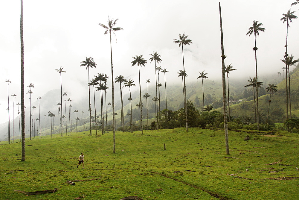 Beneath the tall palm trees that look otherworldly in the Valle Cocora in the central highlands of Colombia.