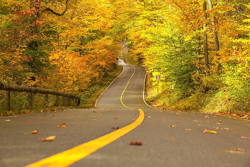 Mother nature displays its colors over the quintessential New England road up to Mount Greylock.