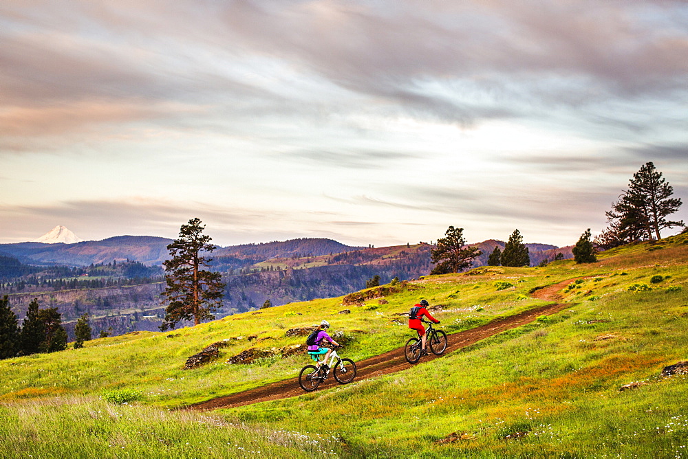 Two young women ride mountain bikes up a single-track trail through an open meadow under early morning sky.