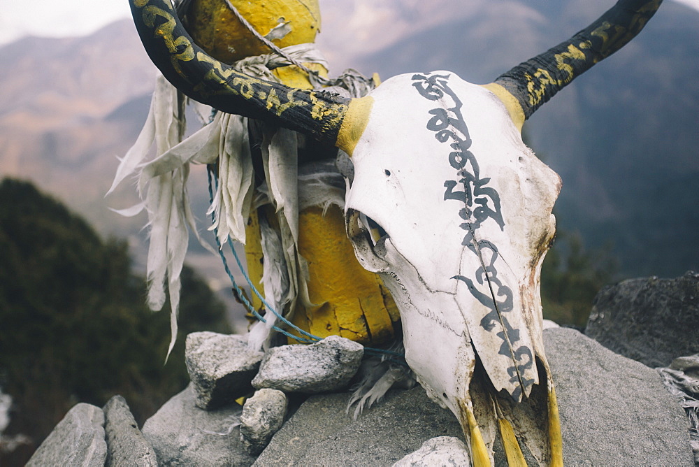 A yak skull is painted with Tibetan prayers on top of Mani stones in Nepal's Everest Region.