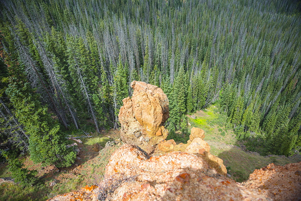 A view from on top of Rabbit Ears Peak in Routt National Forest