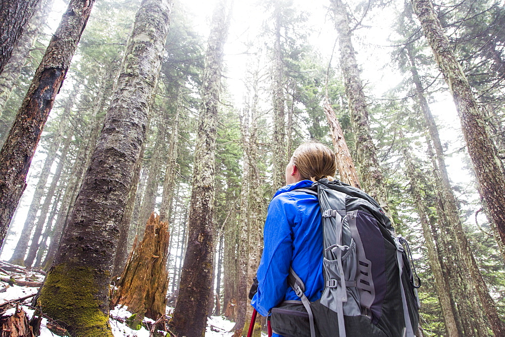 Female Hiker Looking Up At Tall Tree In The Snow Covered Forest Near Seattle