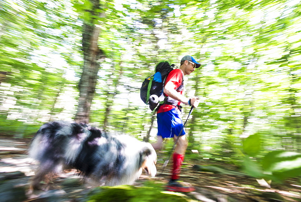 Man With His Dog Hiking In Forest Of White Mountain