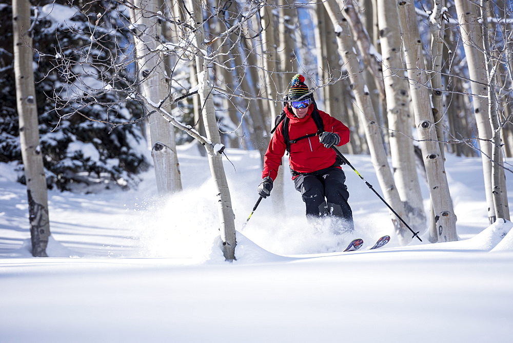 Man Skiing On Snowy Landscape Through An Aspen Grove