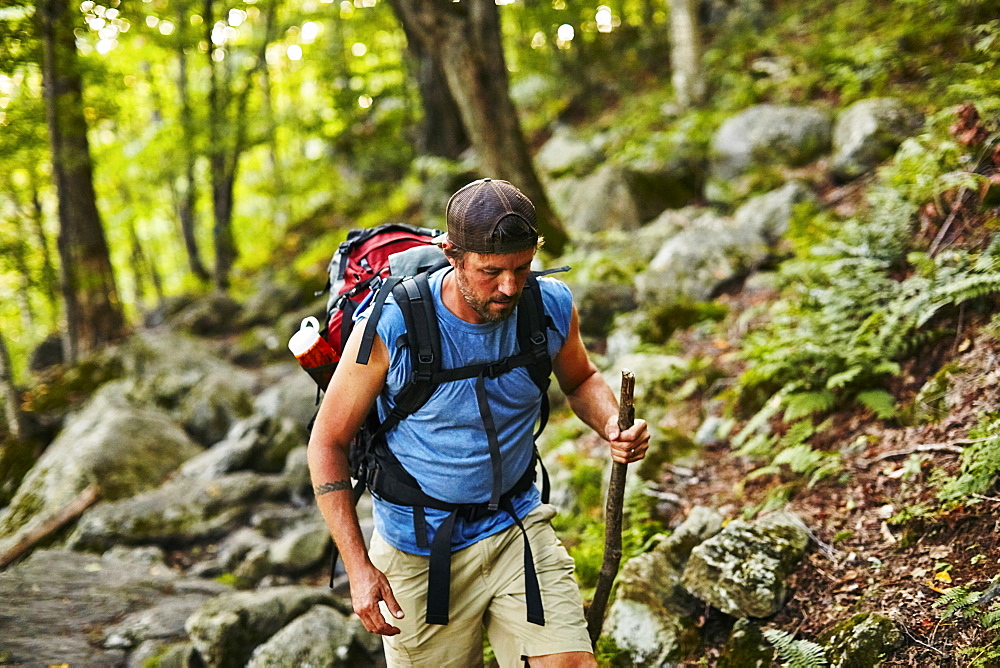 A Man Hikes Along The Appalachian Trail