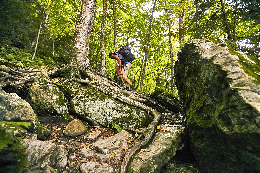 A Man Hikes Along The Appalachian Trail