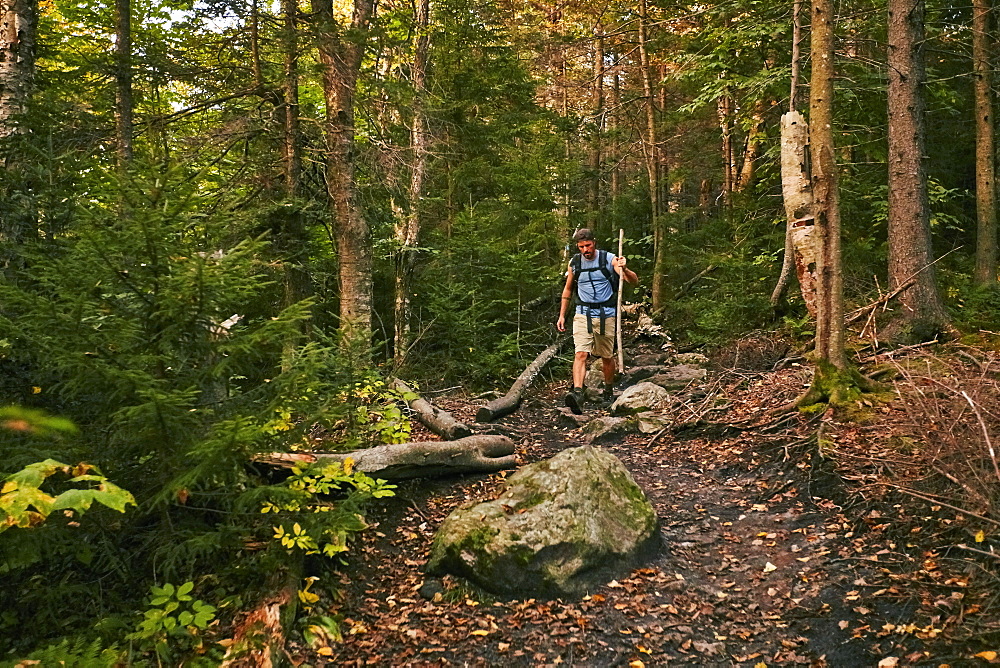 A Man Hikes Along The Appalachian Trail