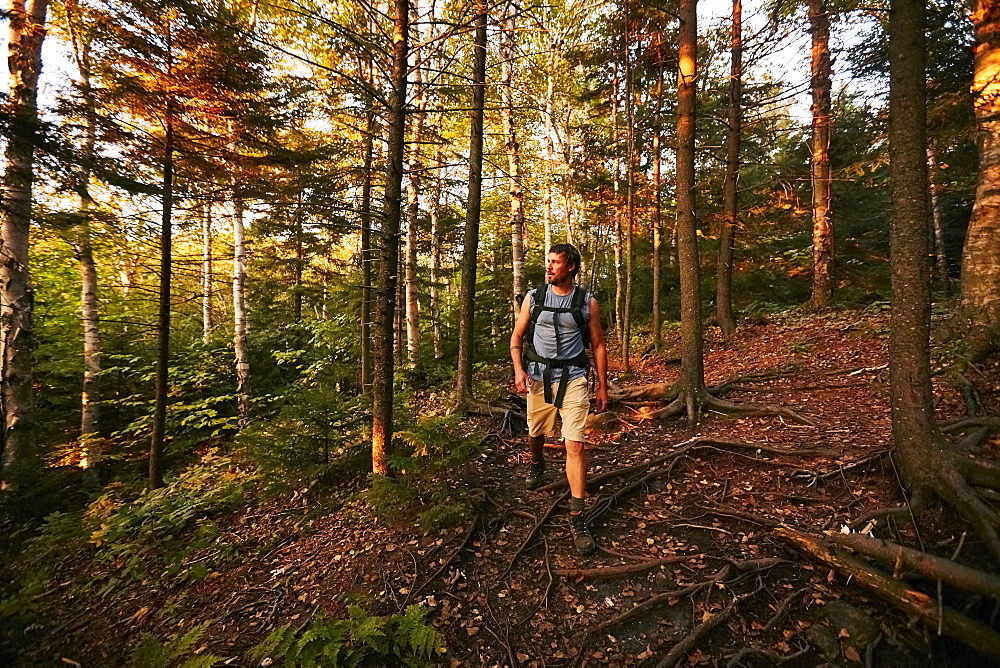 A Man Hikes Along The Appalachian Trail