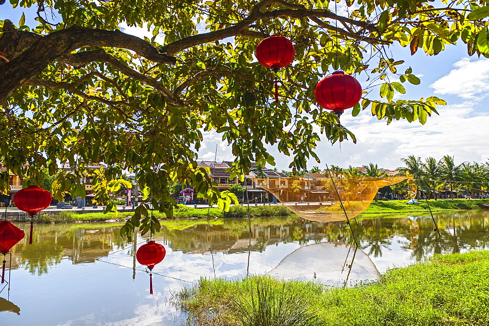 Red Lanterns Hanging In A Tree In Hoi An