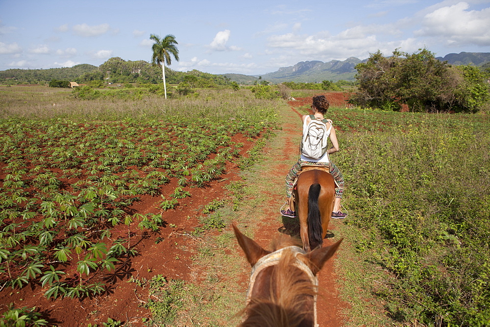 Girl Riding A Horse In Field Of Vinales Region In Cuba