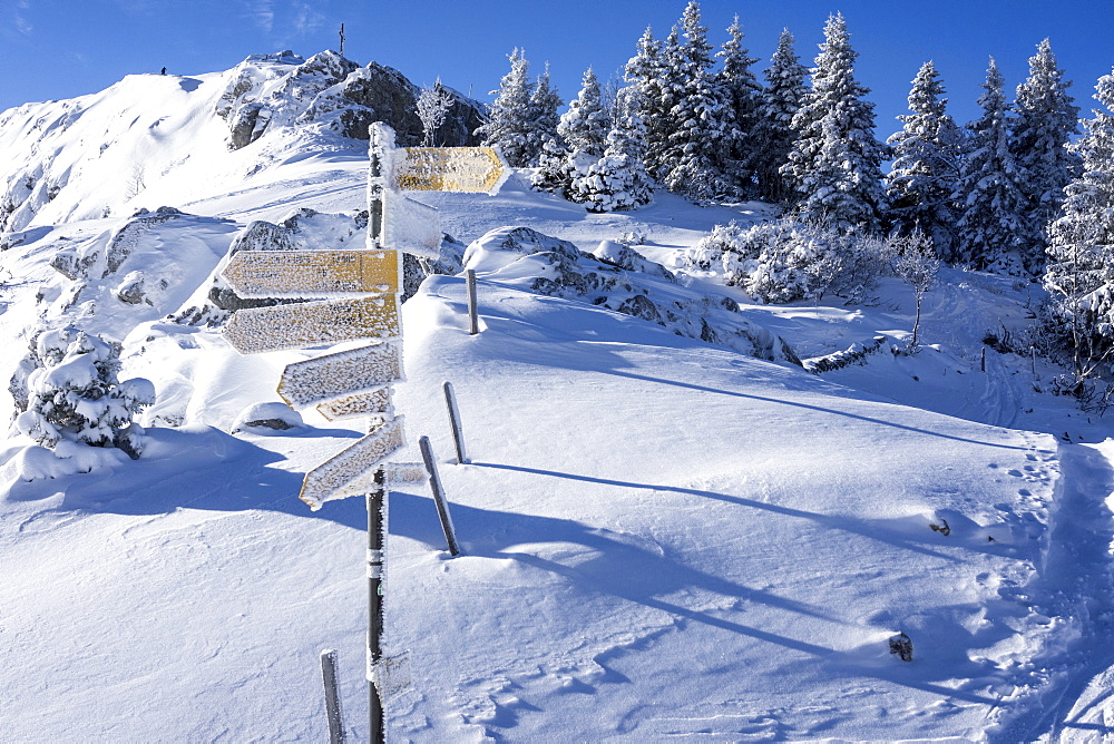 A Yellow Hiking Sign Post Lightly Dusted With Snow