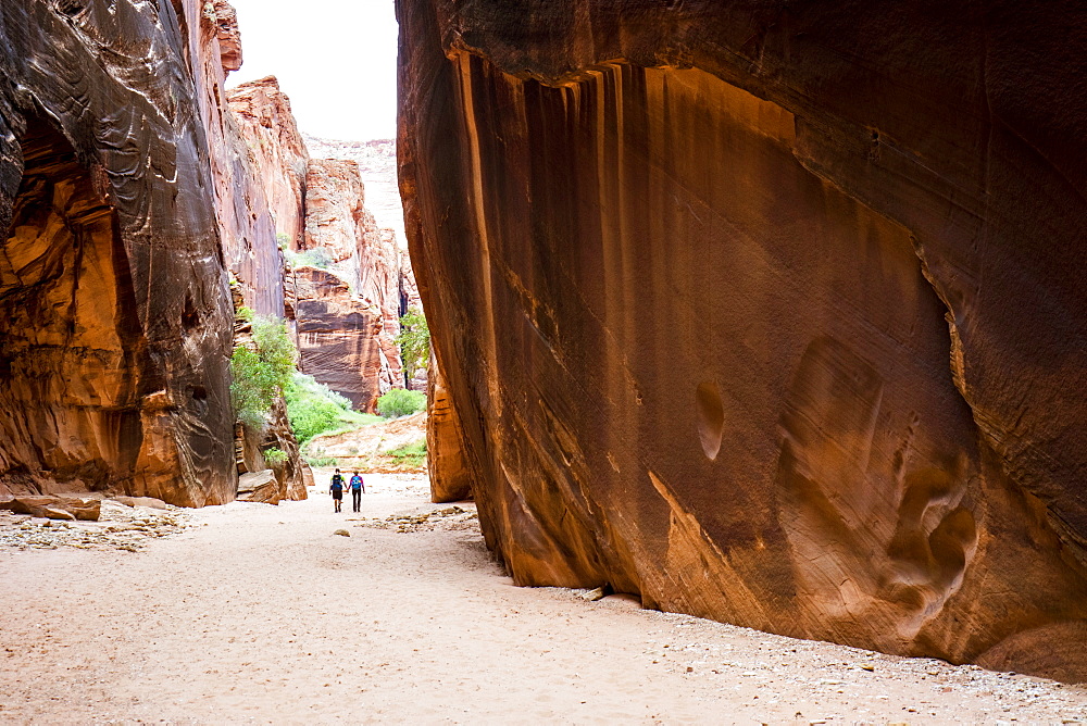 Two Hikers Exploring A Wide Section Of Buckskin Gulch In Southern Utah