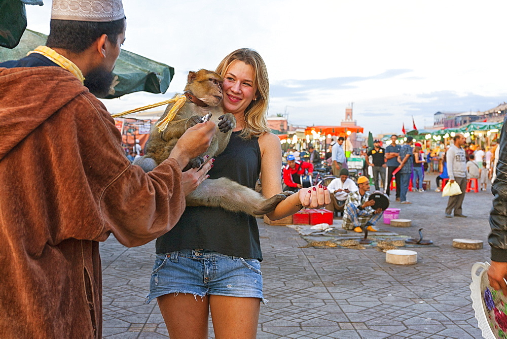 Tourist Holding A Trained Barbary Monkey In Jemaa El Fna Square