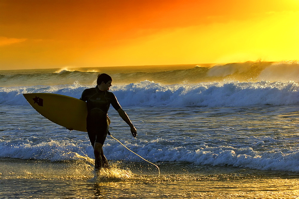 Windsurfer On The Island Of Fuerteventura In Canary Islands, Spain