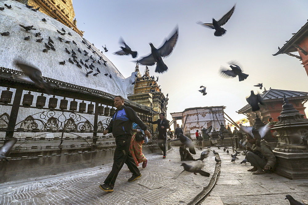 Pigeons And Pilgrims Gather At Swayambhunath On A Crisp Fall Morning