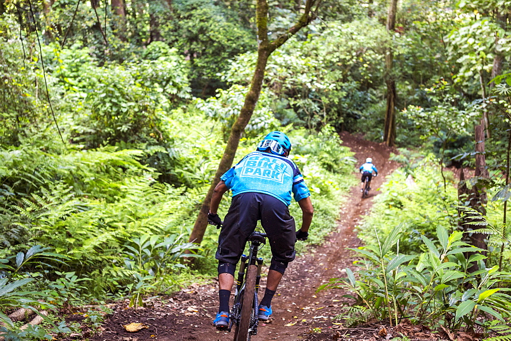 Mountain Biker Riding Through Dirt Track Of Rainforest In Bali, Indonesia