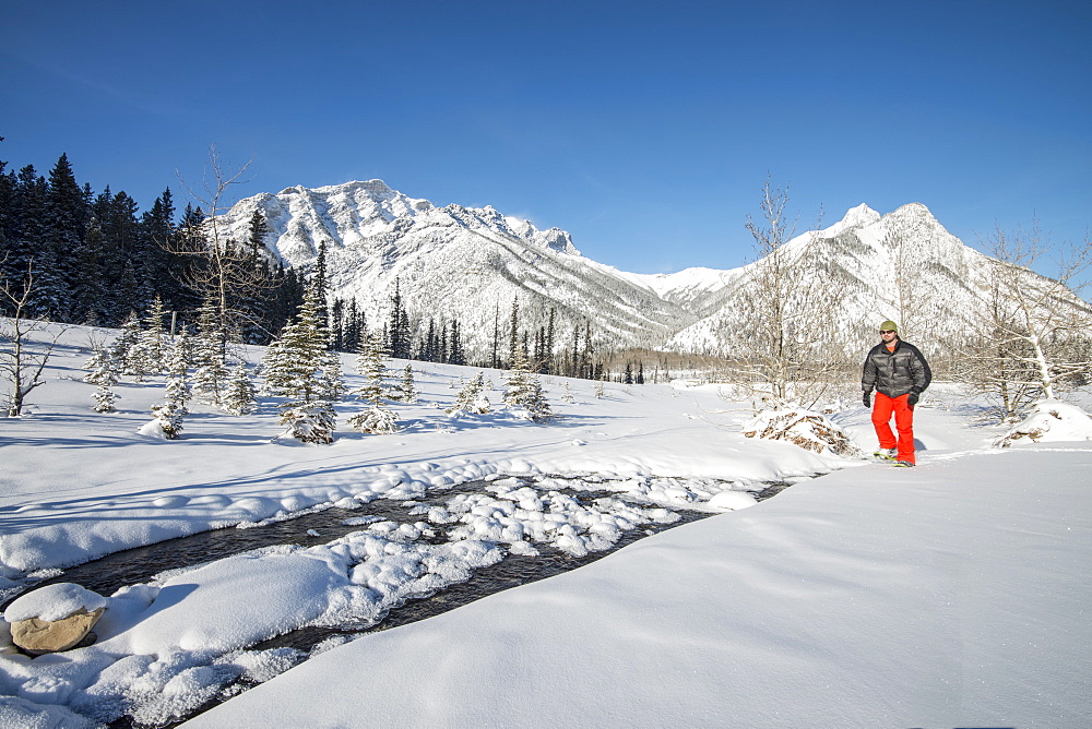 Man snowshoes past snowy forest, mountains