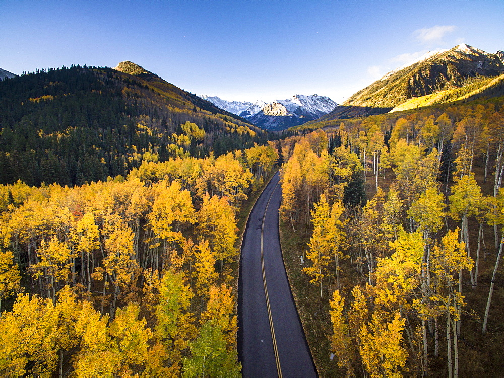 Aerial view of fall colors and a road in Aspen Colorado with a fresh dusting of snow (Drone)