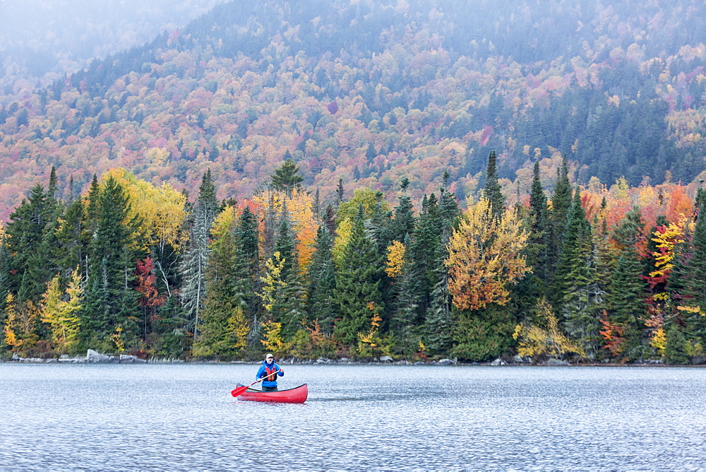 A Man Canoeing On Greenough Pond In Fall At Wentworths Location, New Hampshire