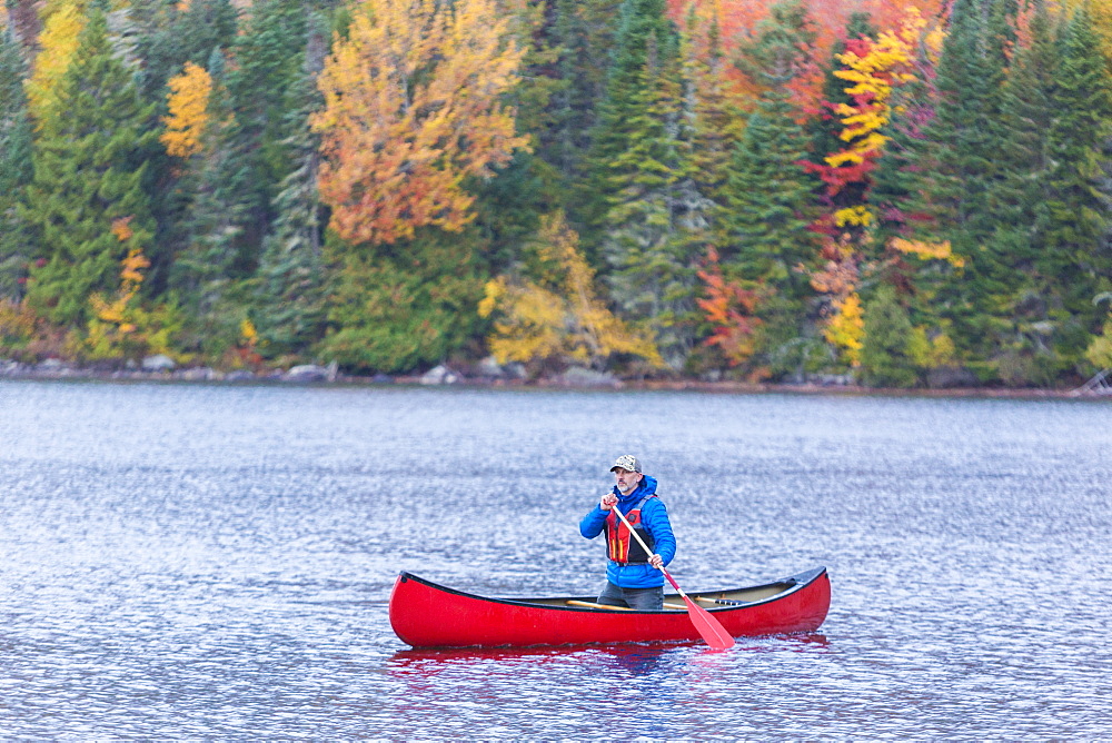 A Man Canoeing On Greenough Pond In Fall At Wentworths Location, New Hampshire