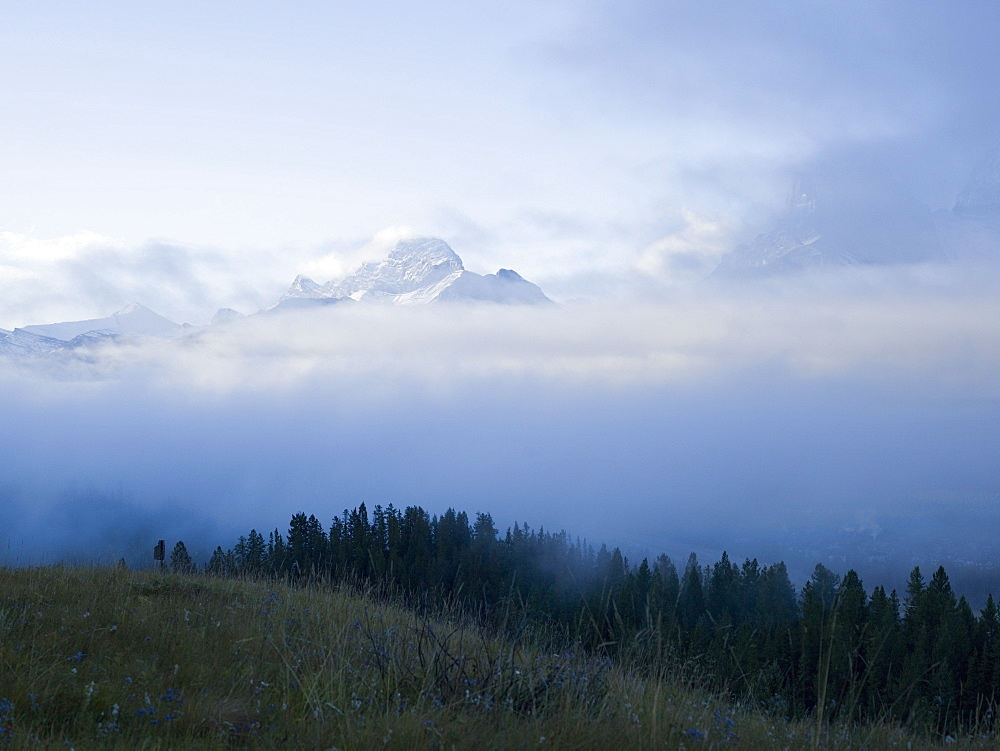 View across alpine meadow to storm lifting off snow-capped peaks