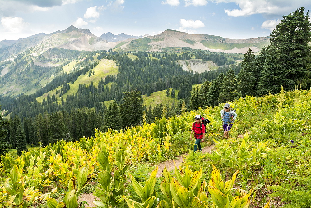 Mother and daughter hiking on Colorado Trail near Trout Lake and Kennebac Pass in San Juan National Forest