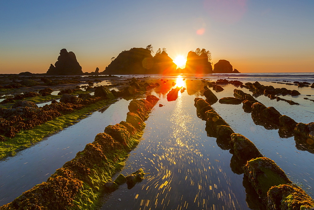 Sunset At Shi Shi Beach, Olympic National Park, Washington, Usa