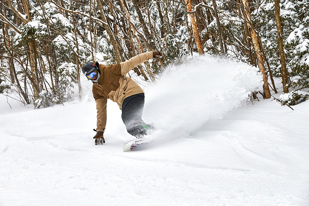 A snowboarder slashing powder inbounds at Sugarbush, VT.