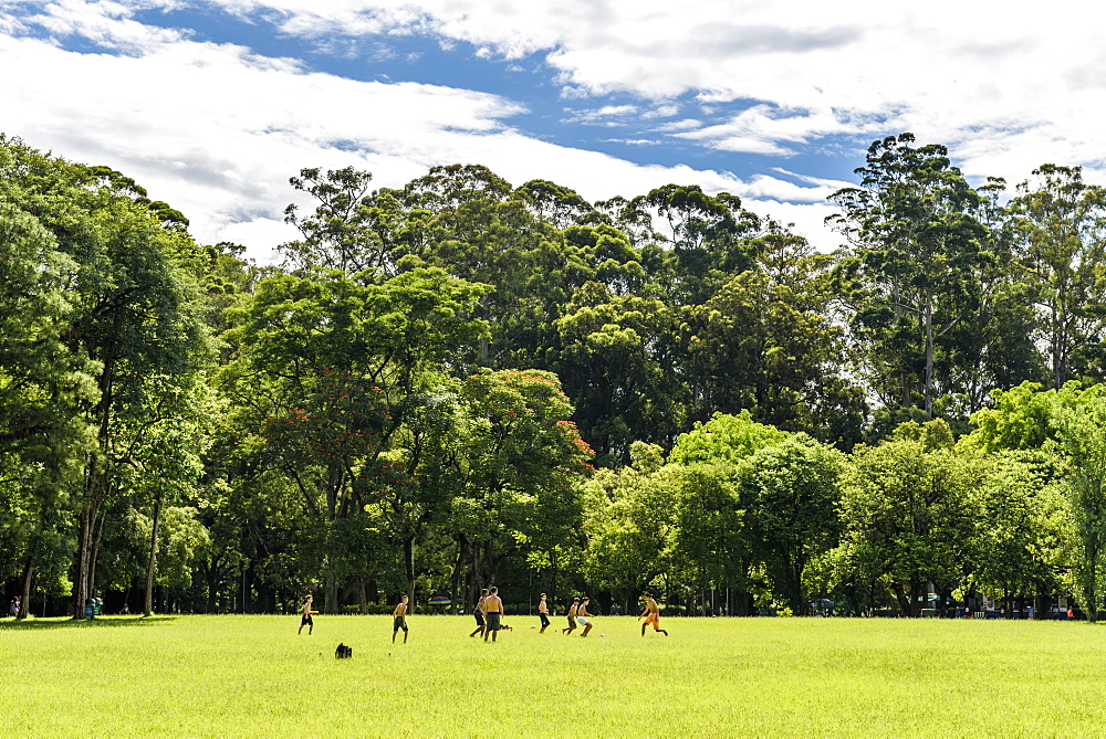 Parque Ibirapuera (Ibirapuera Park) in central São Paulo, Brazil