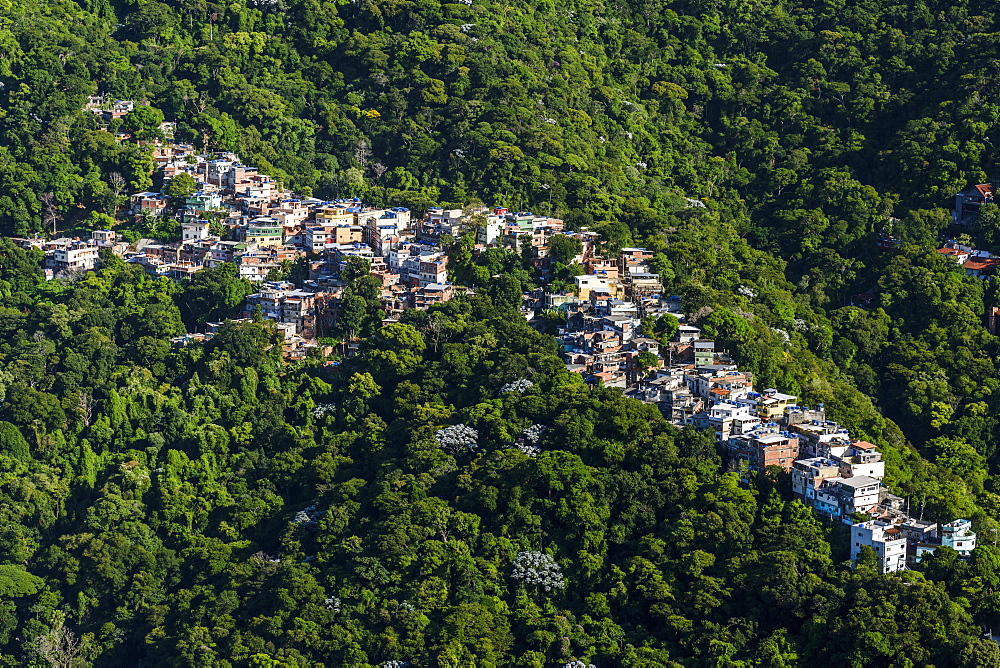 A small portion of Favela da Rocinha cutting through the forest in illegal occupation, Rio de Janeiro, RJ