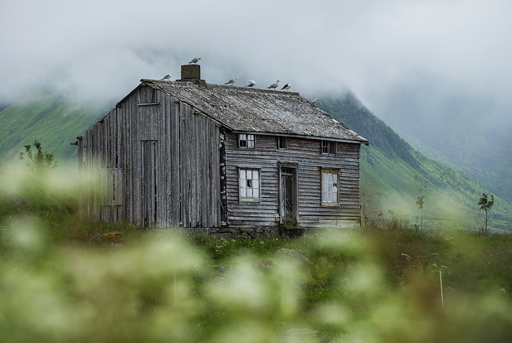 Abandoned house, Vestvågøy, Lofoten Islands, Norway