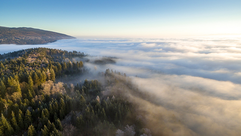 beautiful sunrise on a sea of fog and the mountains covered with forests of Spruce in the Vaud Canton, Switzerland