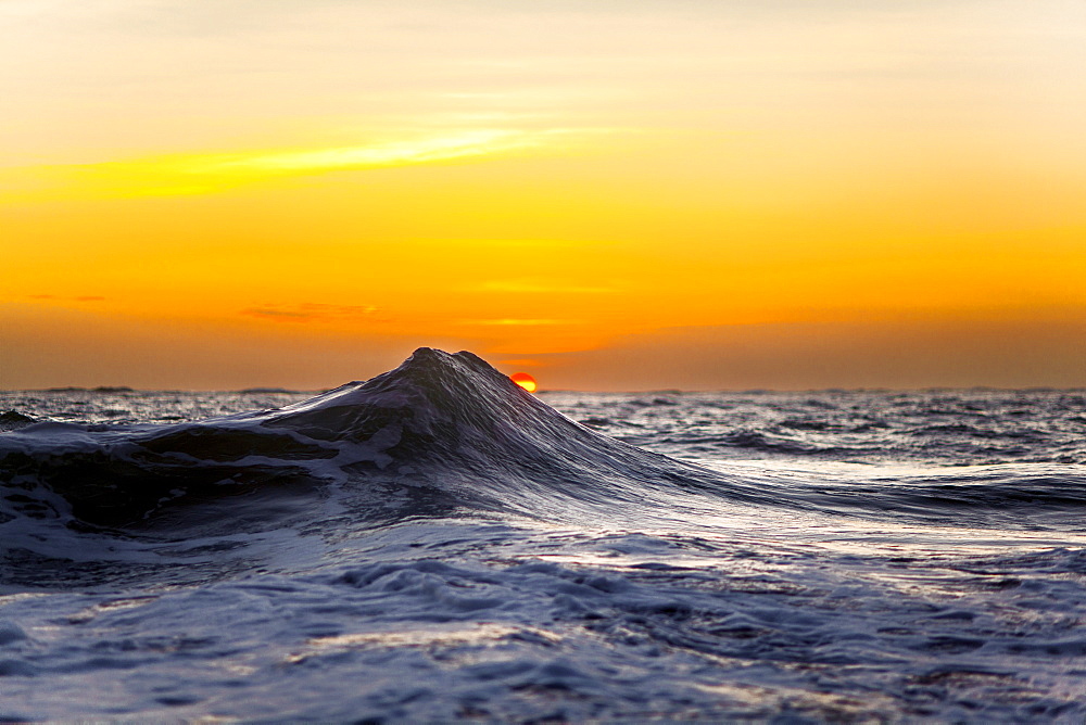 An ocean wave captured against a golden rising sun in Hawaii.