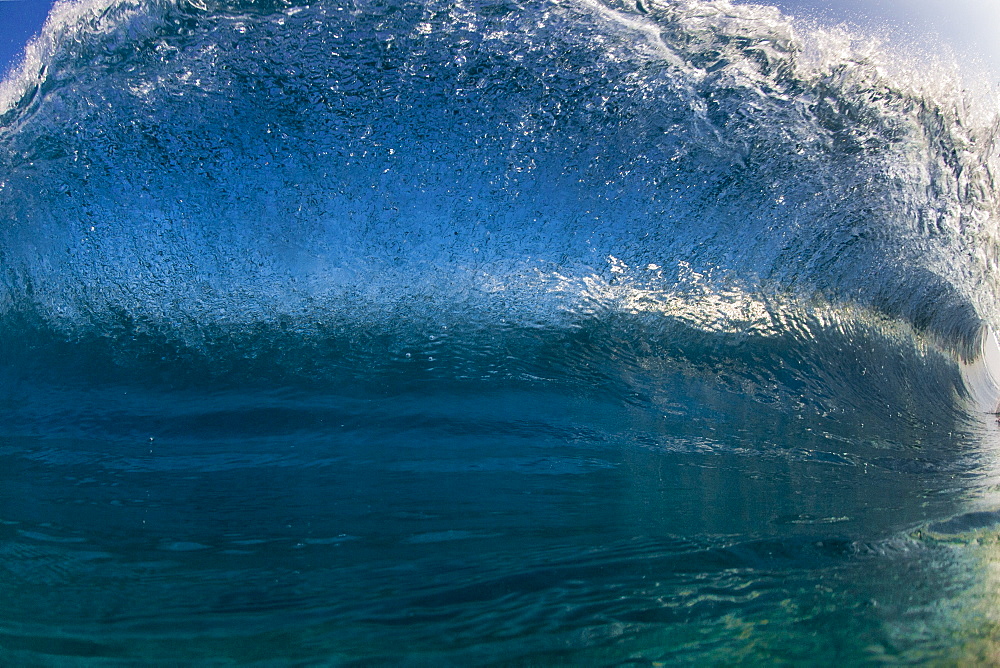 An in the water photograph of a wave Curling over the camera, on the north shore of Oahu.