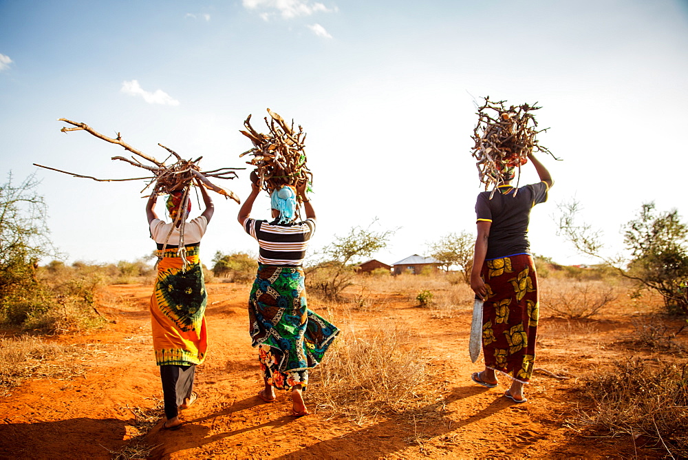 Zainabu Ramadhani, 19, (yellow and red patterned skirt) her mother Fatma Mziray, age 38, (blue head dress) and Fatmaâs sister-in-law Zaitun Hamad, 18, (orange wrap and white top) walk home after gathering firewood near Fatmaâs home in Mforo. Mforo is near Moshi, Tanzania.   Fatma Mziray is a Solar Sister entrepreneur who sells both clean cookstoves and solar lanterns. Fatma heard about the cookstoves from a Solar Sister development associate and decided to try one out. The smoke from cooking on her traditional wood stove using firewood was causing her to have a lot of heath problems, her lungs congested her eyes stinging and her doctor told her that she had to stop cooking that way. Some days she felt so bad she couldn't go in to cook. Fatma said, âCooking for a family, preparing breakfast, lunch and dinner I used to gather a large load of wood every day to use. Now with the new cook stove the same load of wood can last up to three weeks of cooking.   âWith the extra time I can develop my business. I also have more time for the family. I can monitor my childrenâs studies. All of this makes for a happier family and a better relationship with my husband. Since using the clean cookstove no one has been sick or gone to the hospital due to flu.â  Fatma sees herself helping her community because she no longer sees the people that she has sold cookstoves have red eyes, coughing or sick like they used to be. She has been able to help with the school fees for her children, purchase items for the home and a cow.  âWhat makes me wake up early every morning and take my cookstoves and go to my business is to be able to take my family to school as well as to get food and other family needs.â