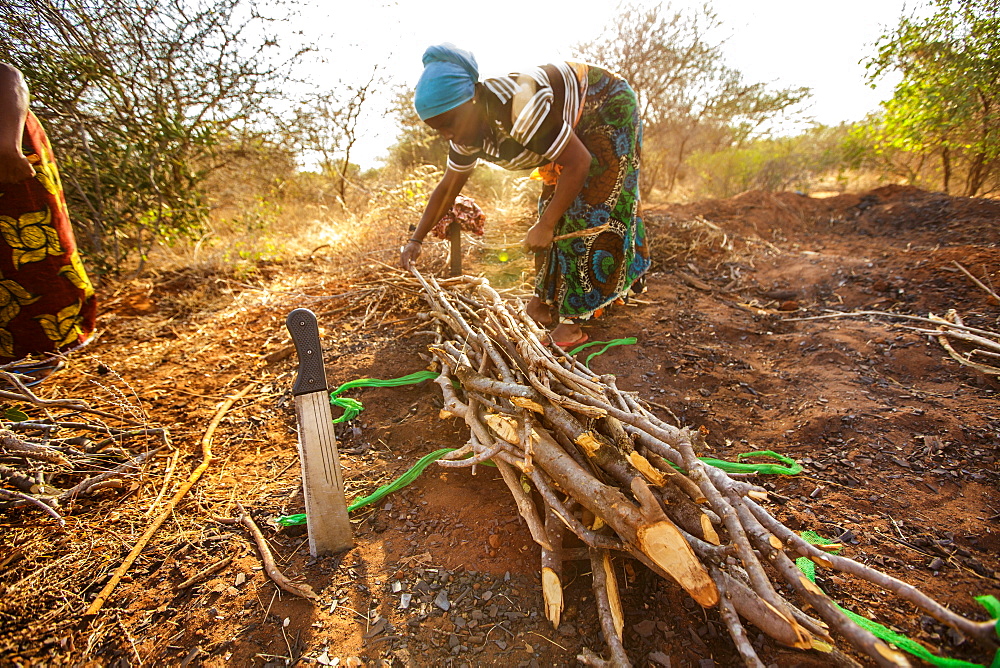 Zainabu Ramadhani, 19, (yellow and red patterned skirt) her mother Fatma Mziray, age 38, (blue head dress) and Fatmaâs sister-in-law Zaitun Hamad, 18, (orange wrap and white top) walk home after gathering firewood near Fatmaâs home in Mforo. Mforo is near Moshi, Tanzania.   Fatma Mziray is a Solar Sister entrepreneur who sells both clean cookstoves and solar lanterns. Fatma heard about the cookstoves from a Solar Sister development associate and decided to try one out. The smoke from cooking on her traditional wood stove using firewood was causing her to have a lot of heath problems, her lungs congested her eyes stinging and her doctor told her that she had to stop cooking that way. Some days she felt so bad she couldn't go in to cook. Fatma said, âCooking for a family, preparing breakfast, lunch and dinner I used to gather a large load of wood every day to use. Now with the new cook stove the same load of wood can last up to three weeks of cooking.   âWith the extra time I can develop my business. I also have more time for the family. I can monitor my childrenâs studies. All of this makes for a happier family and a better relationship with my husband. Since using the clean cookstove no one has been sick or gone to the hospital due to flu.â  Fatma sees herself helping her community because she no longer sees the people that she has sold cookstoves have red eyes, coughing or sick like they used to be. She has been able to help with the school fees for her children, purchase items for the home and a cow.  âWhat makes me wake up early every morning and take my cookstoves and go to my business is to be able to take my family to school as well as to get food and other family needs.â