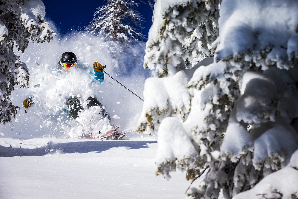 A man skiing powder at Alta, Utah