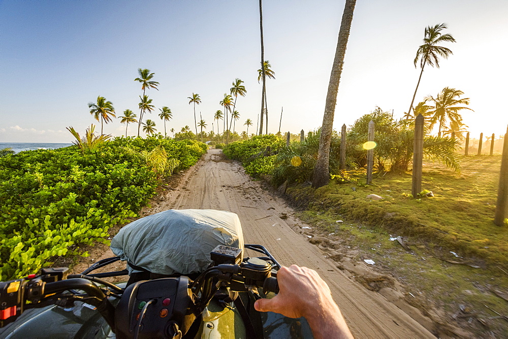 Personal perspective view from quad motorcycle on dirt road in tropical scenery with palm trees, Taipu de Fora Beach, South Bahia, Barra Grande, Brazil