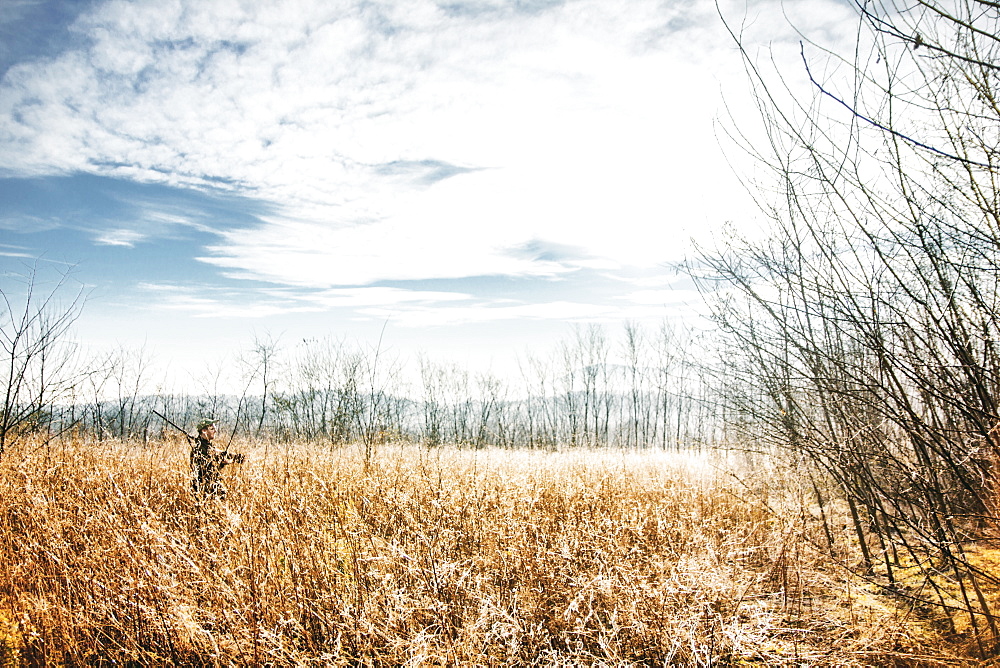 Hunter in hunt for pheasants, waiting in the high grass.