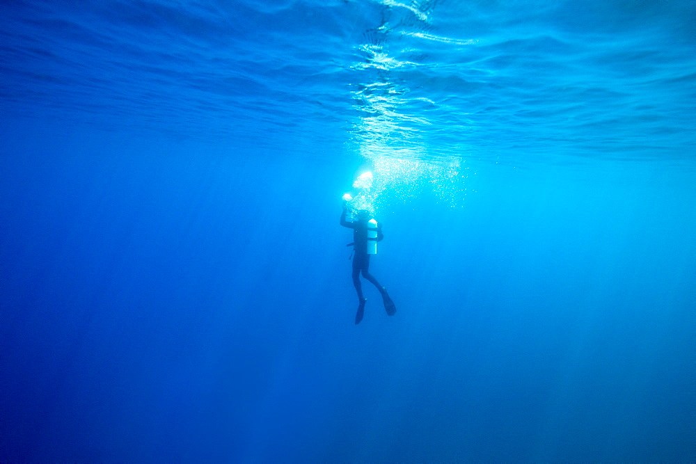 Scuba diver swimming underwater, Lake Tahoe, California, USA