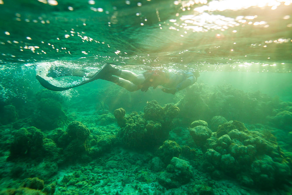 Bruce M. snorkels at the surface of the water off Roatan Island, Honduras.