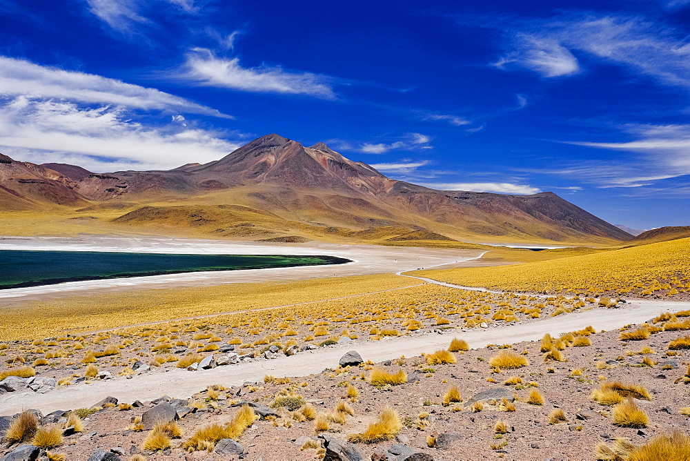 Laguna Miscanti in Atacama Desert, Chile