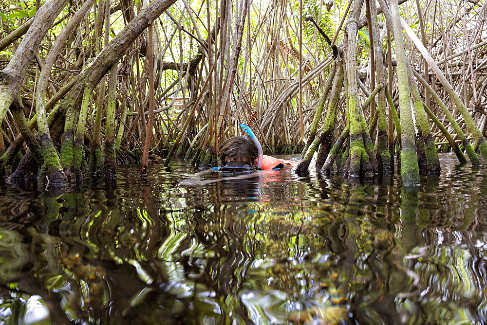 Photograph of man snorkeling in Cenote Chikin Ha, Playa del Carmen, Mayan Riviera, Yucatan Peninsula, Mexico