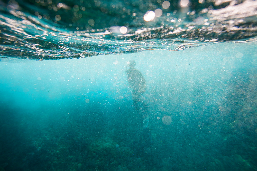 The outline of a snorkeler is seen through bubbles and turbulent currents underwater as waves break onto rocks and reef off Utila Island, Honduras.