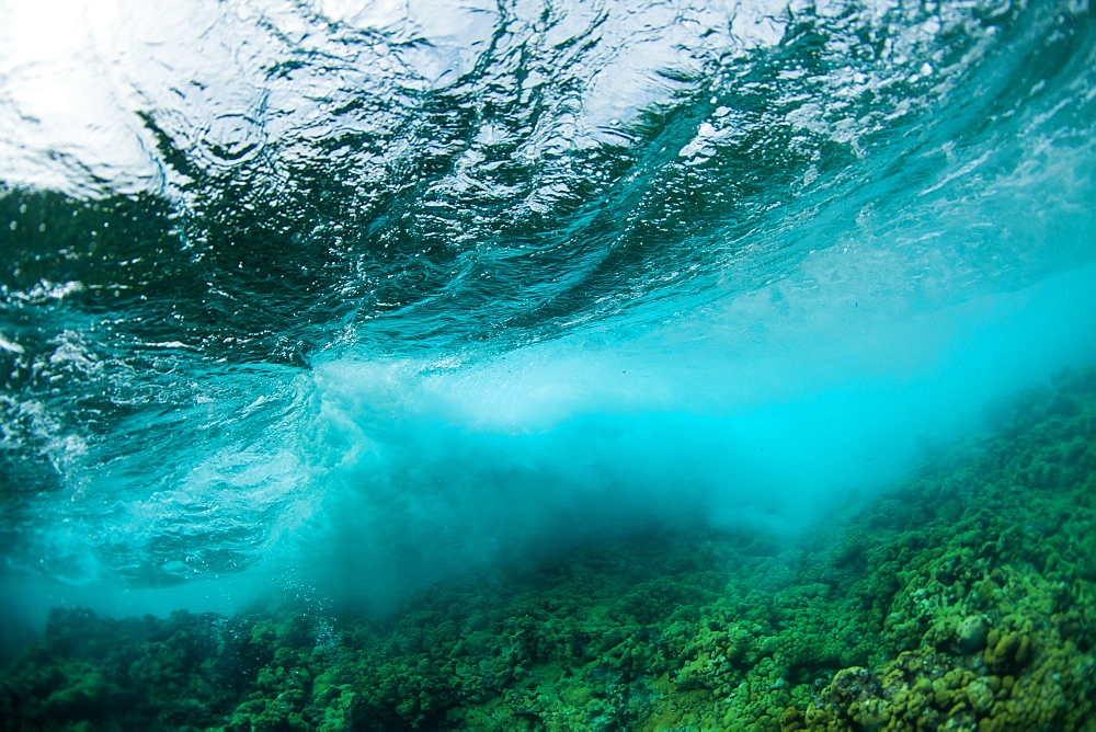 Underwater view of wave breaking over Caribbean Reef, Atlantic Ocean, Belize